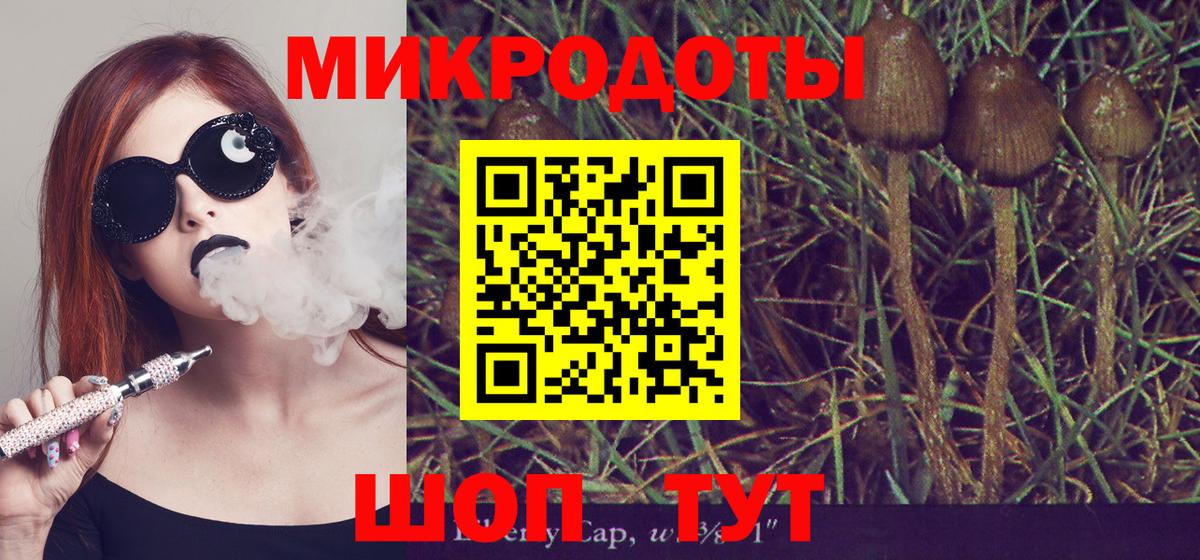 Псилоцибиновые грибы MAGIC MUSHROOMS Алексин