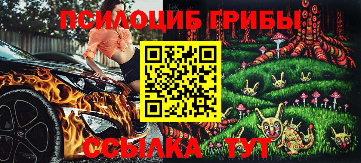 Алексин  Галлюциногенные грибы Psilocybe  купить наркотики сайты  Вход с VPN 